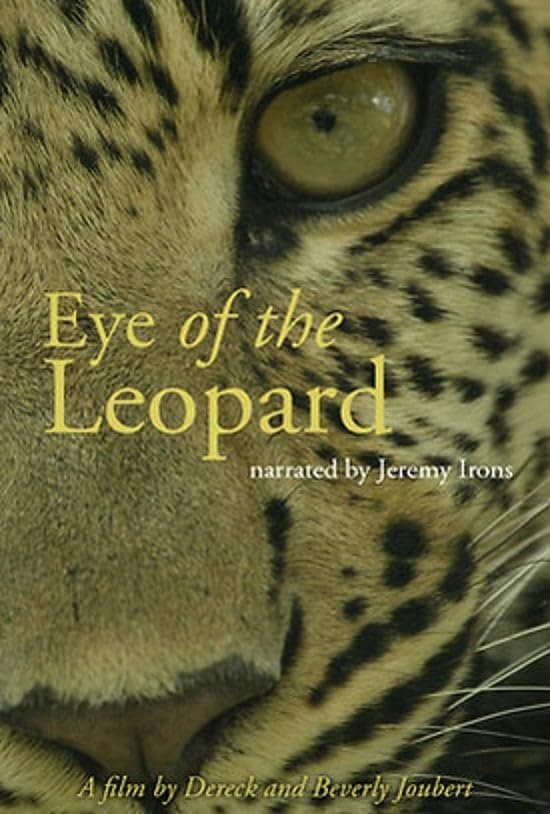 Постер Eye of the Leopard: Revealed
